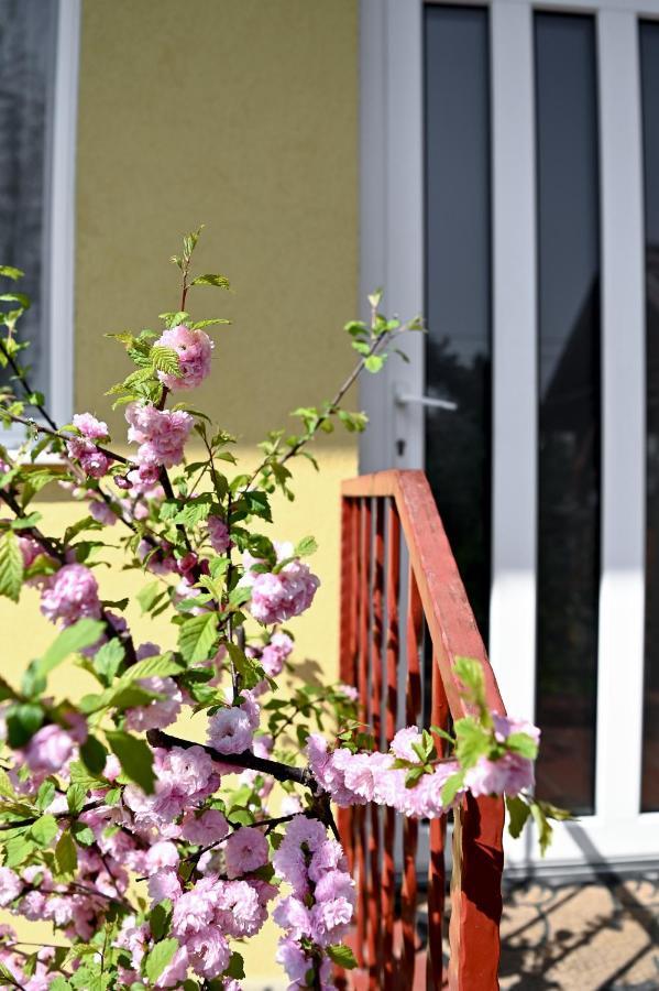 Angela Vendeghaz Hotel Tokaj Exterior photo